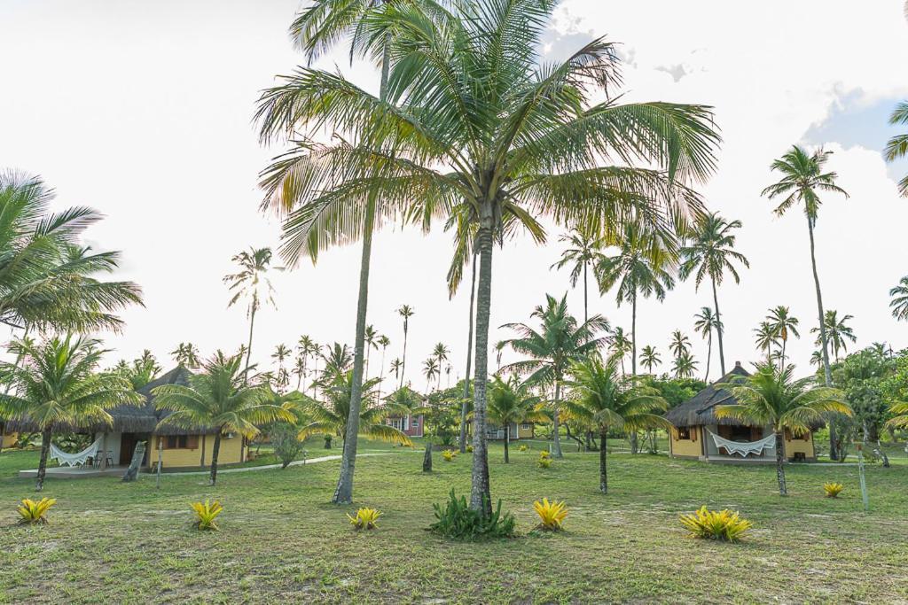 Jocotoka Village - Ponta Do Corumbau Eksteriør billede
